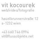 vit kocourek